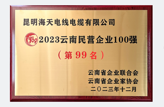 2023云南民營企業(yè)100強